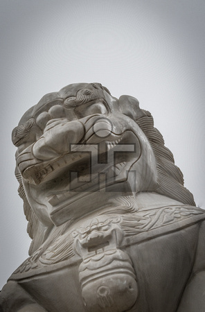 Lion, Xi'an, China