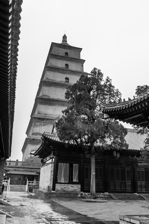 Pagoda, B&W 2