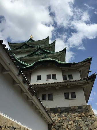 115/365 Nagoya Castle