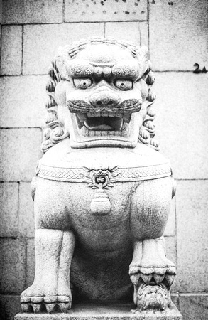 37/365 Chinese Stone Lion